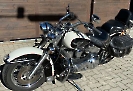 Harley Davidson Softail FLSTC_1